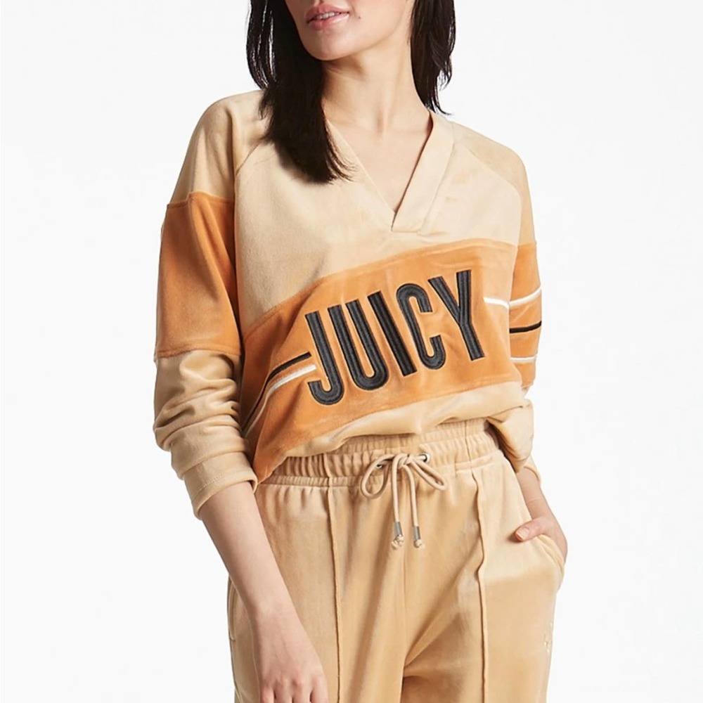 JUICY COUTURE Luxe Velour V-Neck Sweater